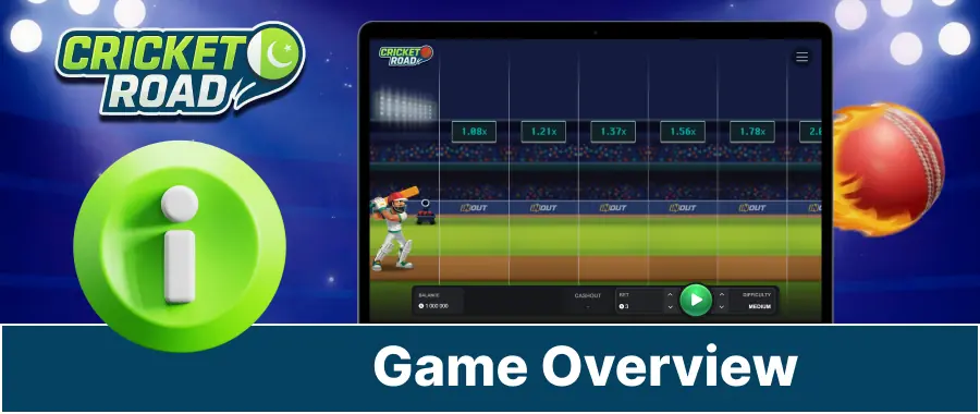 About the Cricket Road Game